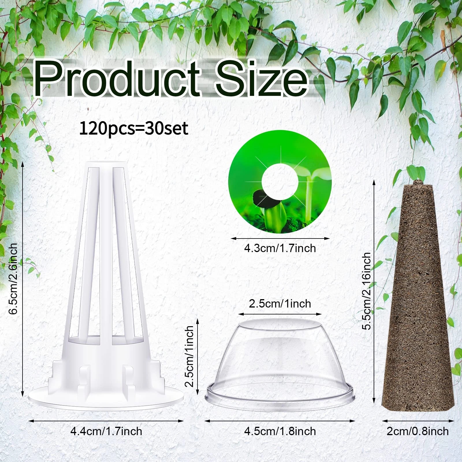 Transparent baskets for convenient plant growth