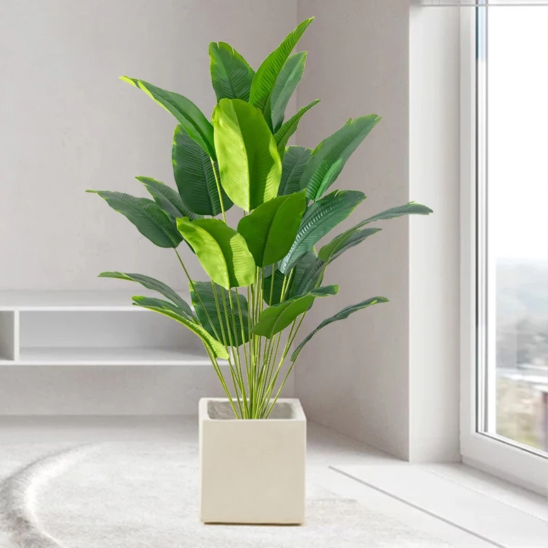 Palm, perfectly suited for the garden