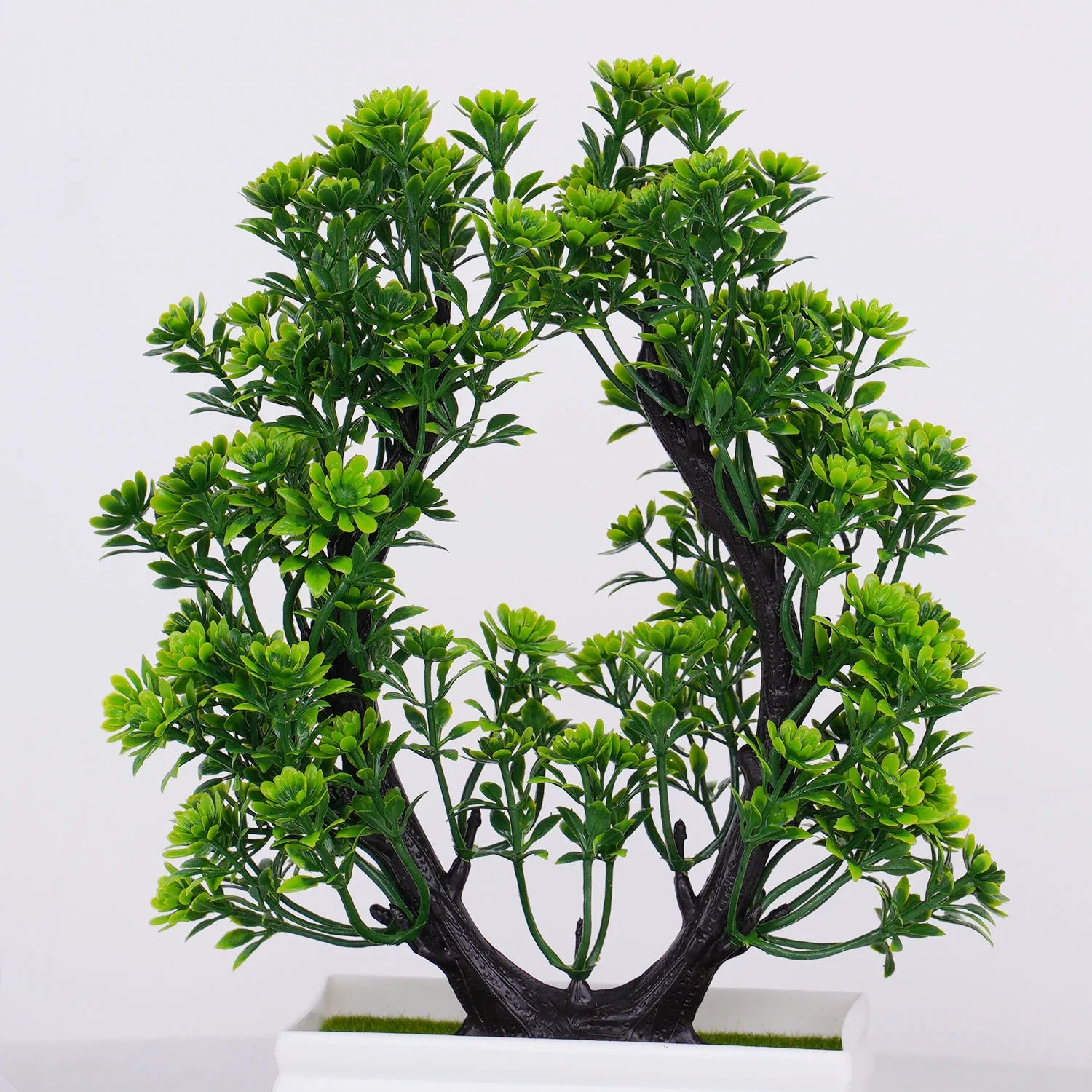Bonsai verde tradicional em vaso