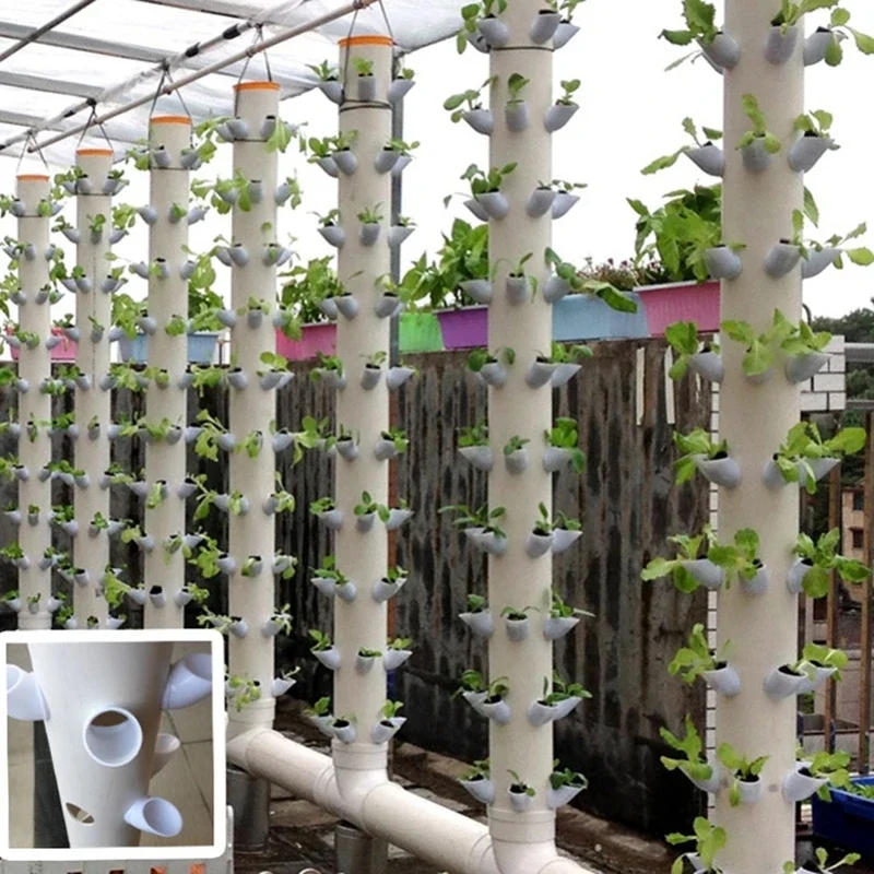 Plastic hydroponic pots are suitable for growing various plants