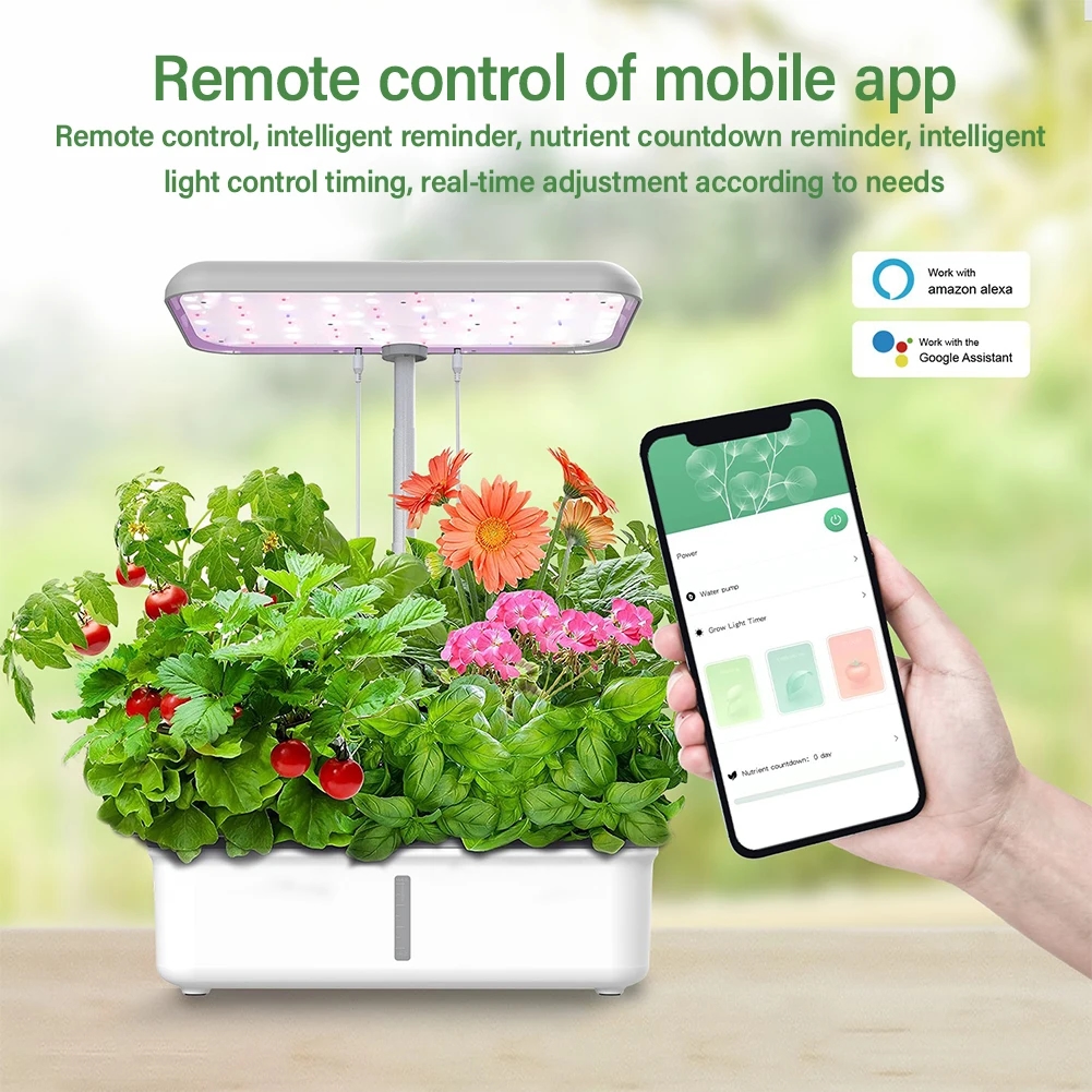 Contrôle de l'éclairage LED et de la pompe via une application