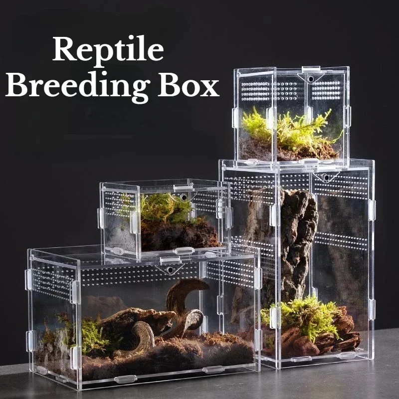 Foto der inneren Struktur des transparenten Terrariums