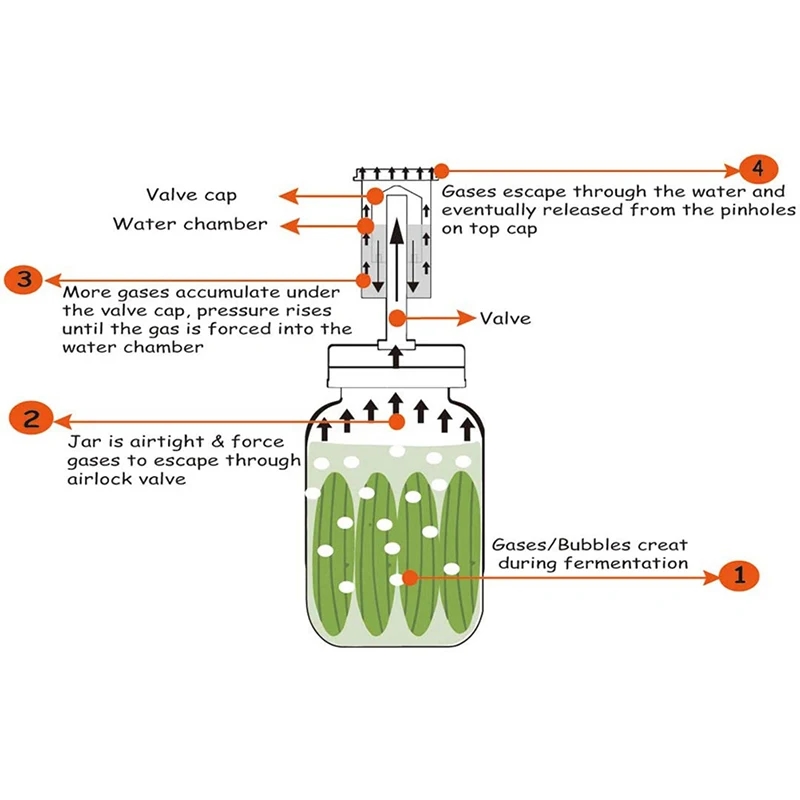 The cap provides reliable sealing of jars for effective fermentation