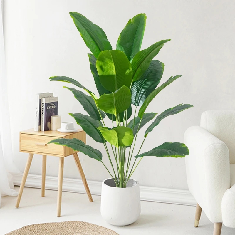 Beautiful palm for home decoration
