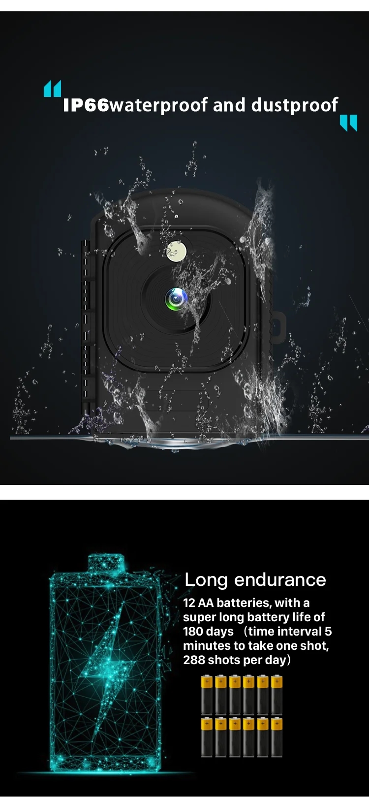 Wildlife camera with a convenient 2.4-inch TFT display for reviewing recorded footage