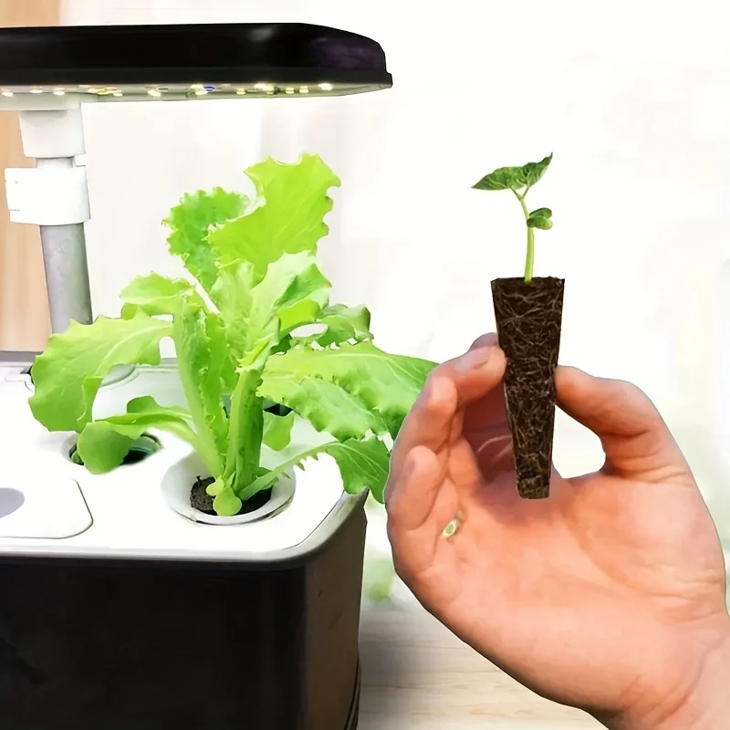 Sponge kit for starting plants in home gardening