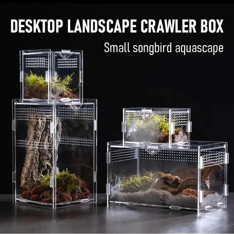 Bild eines transparenten Terrariums zur Haltung von Reptilien