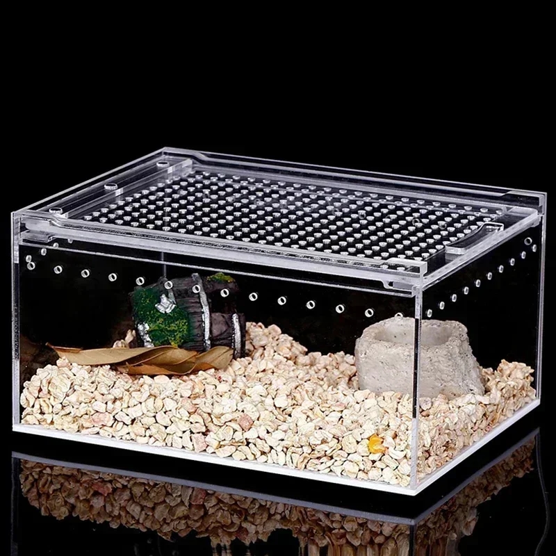 Gros plan sur des terrariams en acrylique transparent de différentes tailles