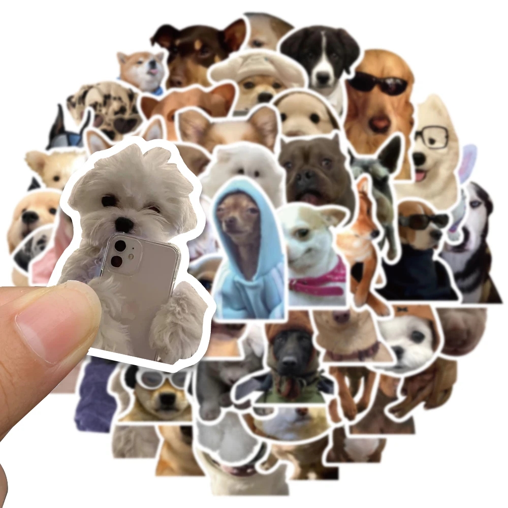 Bright stickers with animals, suitable for decorating skateboards and equipment