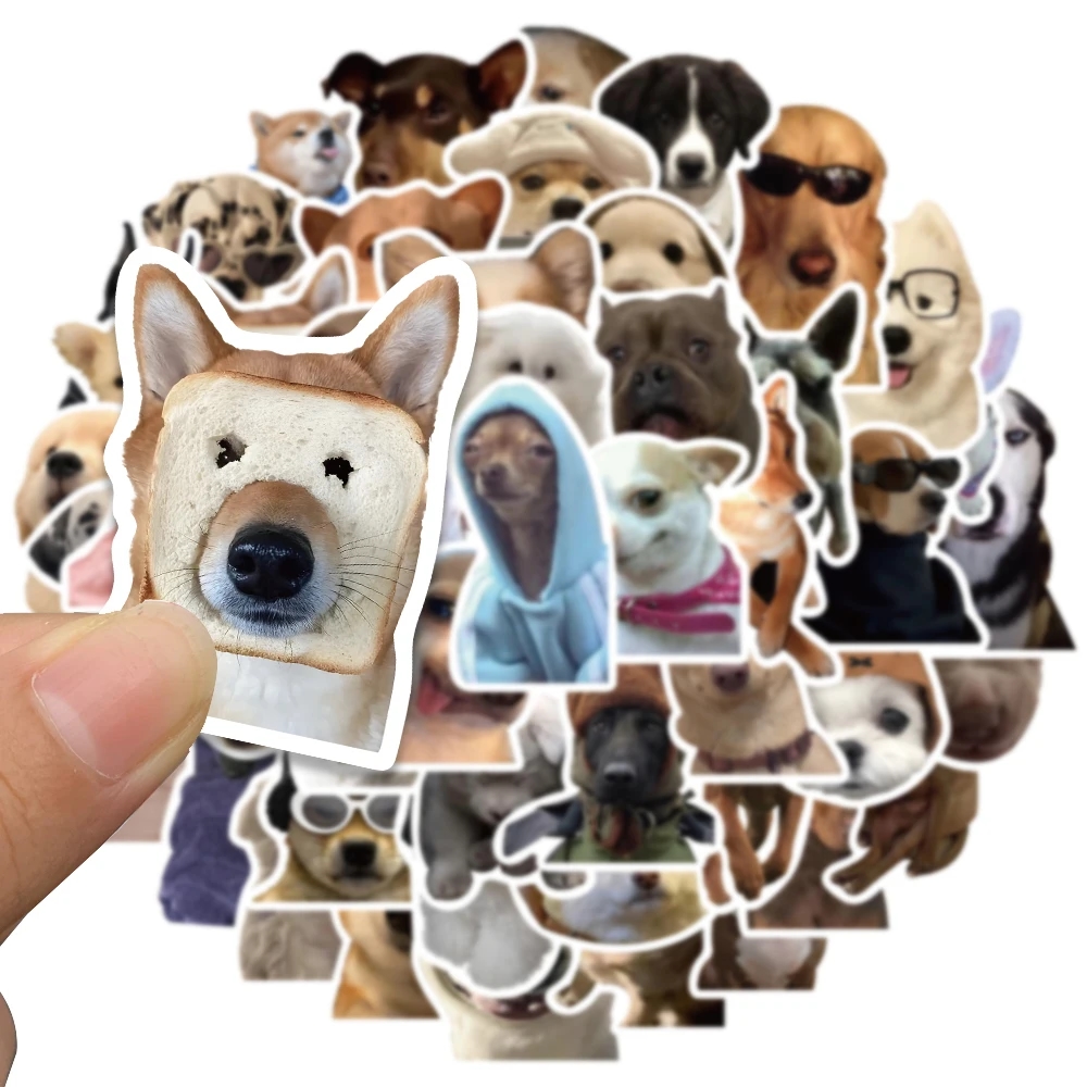 Collection of bright stickers with funny images of different animals