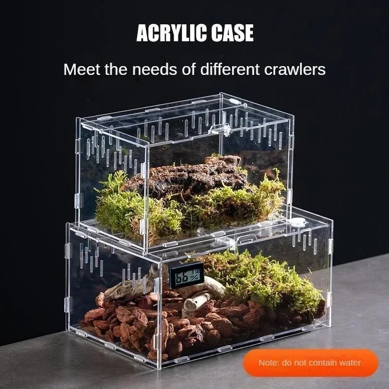 Terrarium in verschiedenen Größen dargestellt