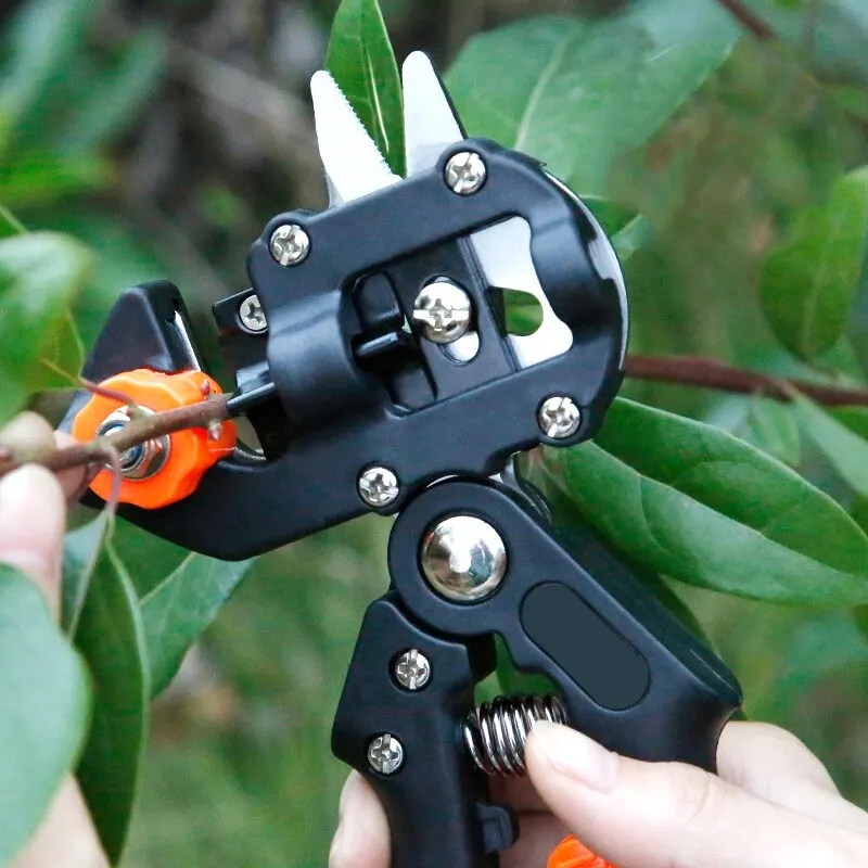 Une personne utilise des sécateurs de jardin pour tailler un arbuste