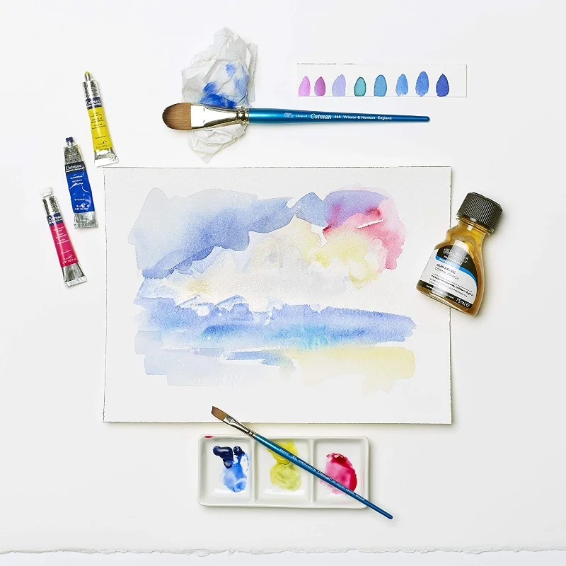 Application of Winsor & Newton Cotman watercolor paint in painting