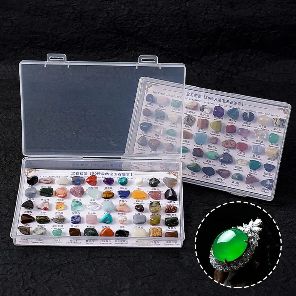 The small box allows for secure storage and transportation of the collection
