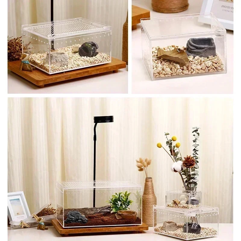 La photo montre des terrariams de plusieurs tailles pour une comparaison visuelle