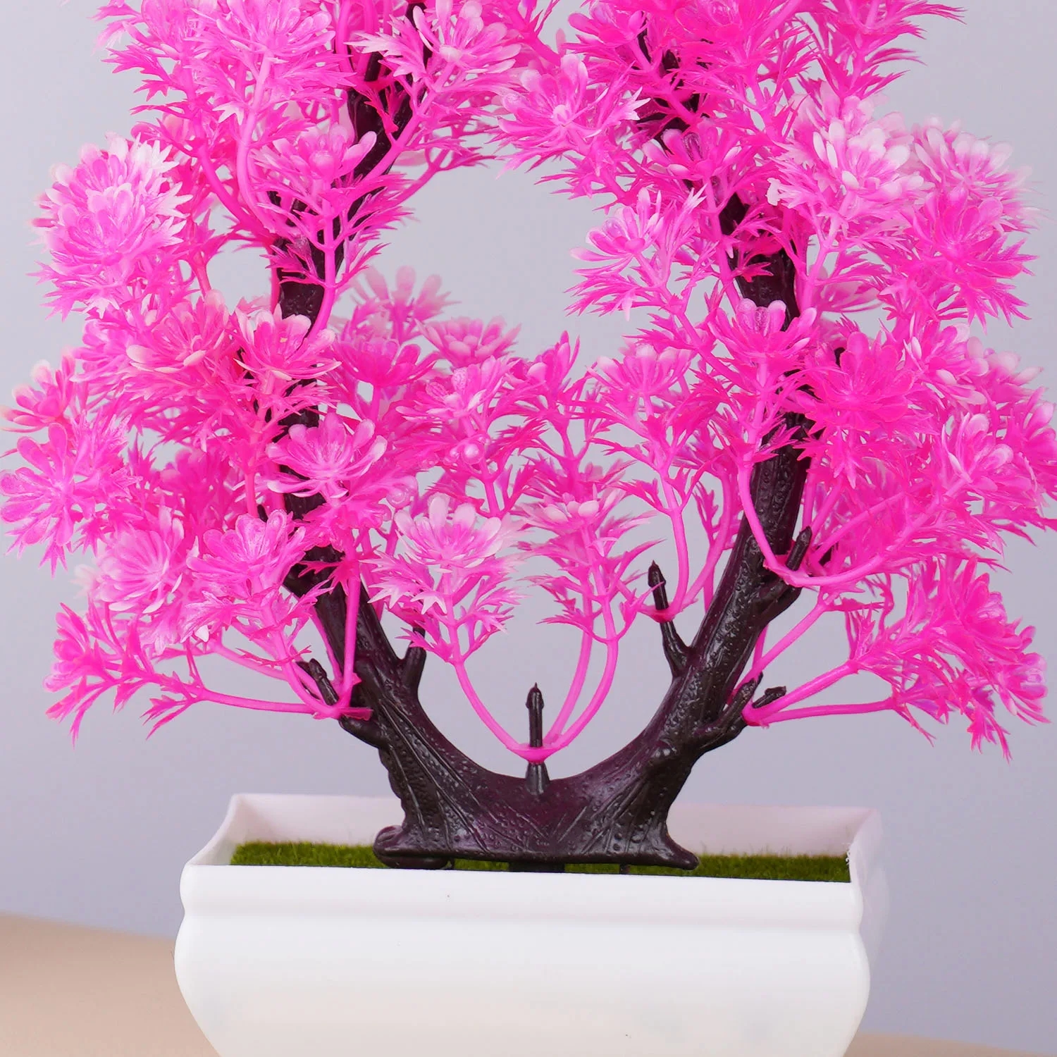 Bonsai vibrante em vaso vermelho para interiores