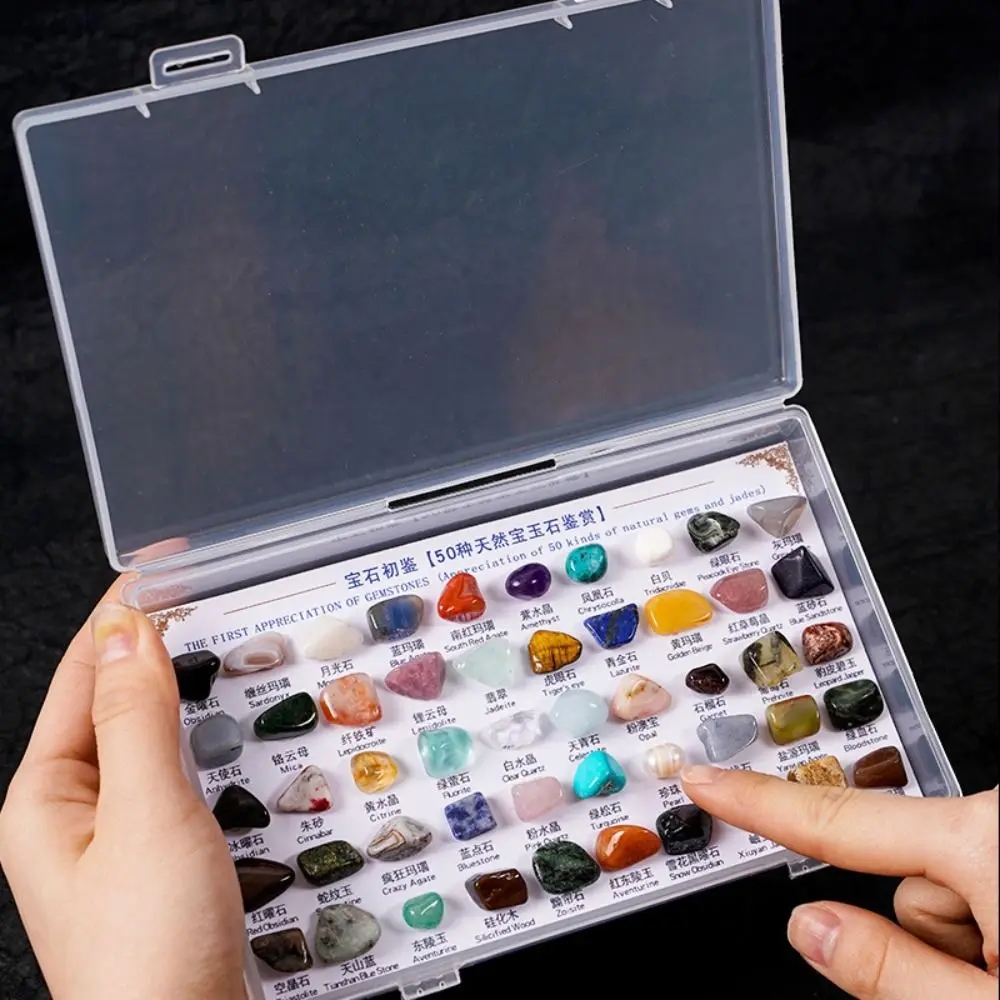 Samples of natural minerals and gemstones carefully arranged in a small box