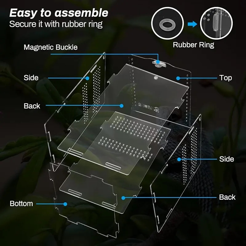 Boîte acrylique transparente pour l'alimentation et le logement d'animaux de petite taille
