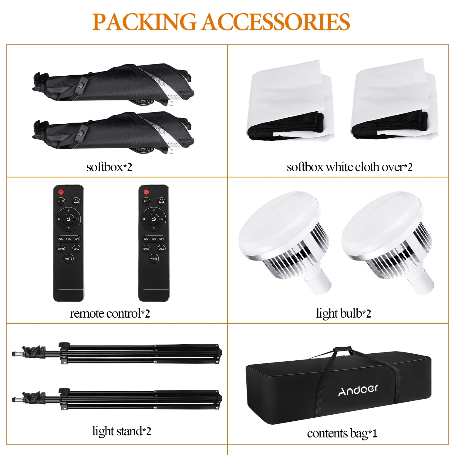 The Kit Includes 2 LED Lights, 2 Softboxes, Stands/Tripods, and a Carrying Bag