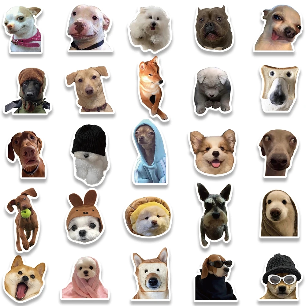 Collection of stickers with images of cats and dogs in the style of Internet memes