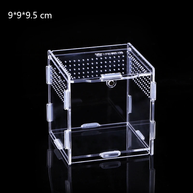 Récipient acrylique transparent pour l'entretien et l'observation des reptiles