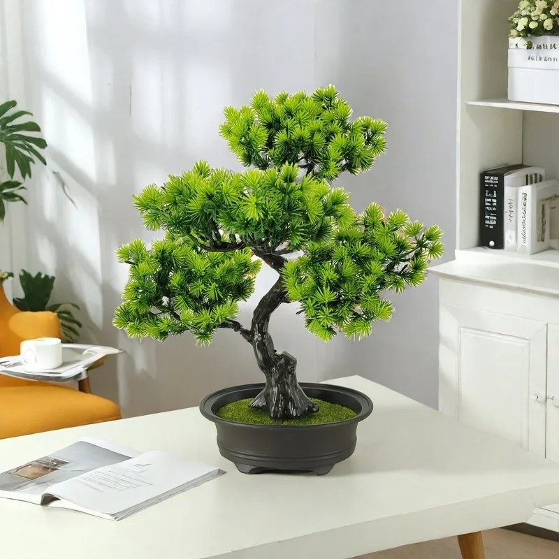 Árbol bonsái en el interior de un apartamento, dando frescura al ambiente