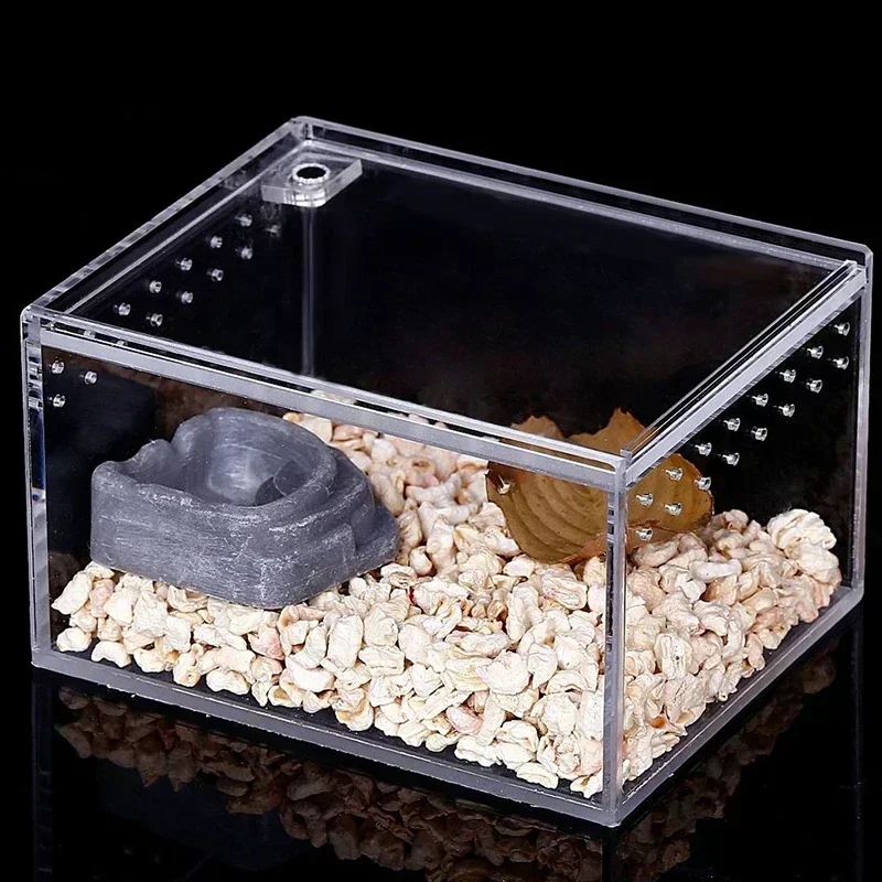 Photographie montrant différentes solutions de couleur pour la réalisation du terrarium