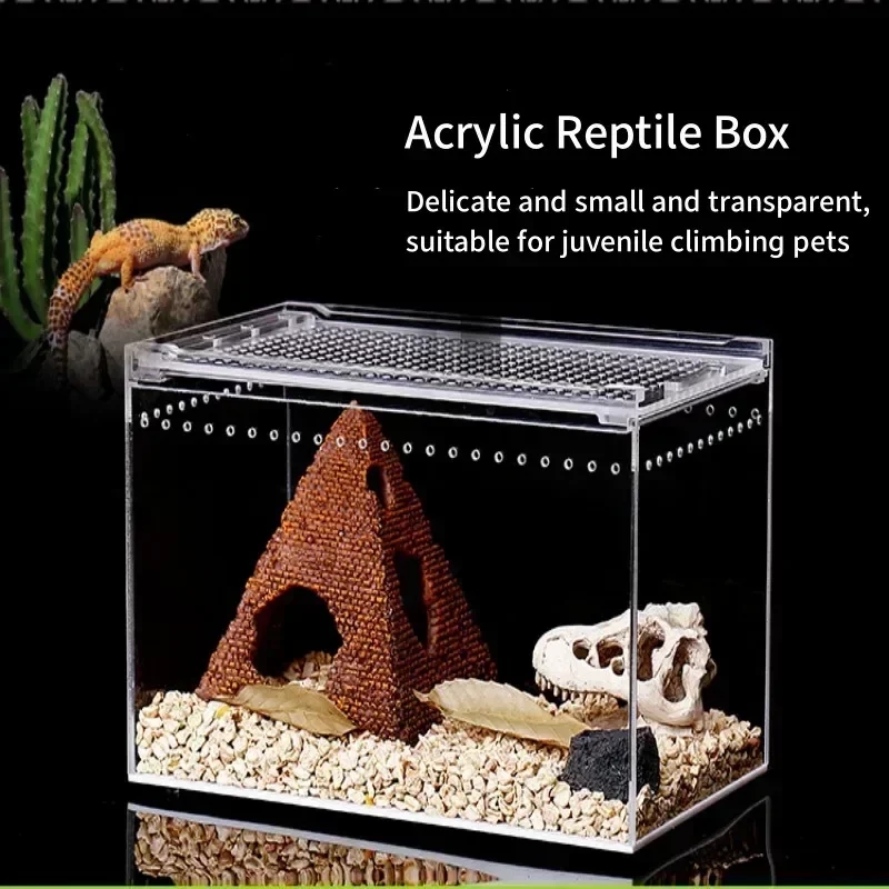 Vue de l'intérieur du terrarium, montrant une construction solide et des détails