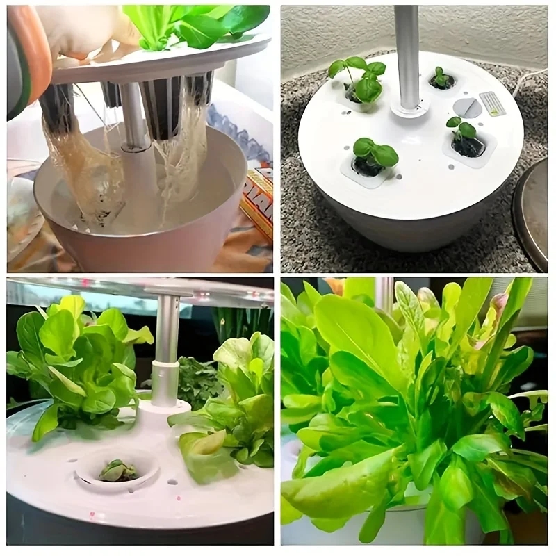 Sponges for starting plant growth in hydroponics