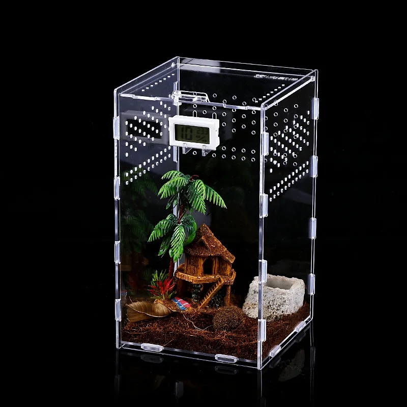 Terrarium acrylique transparent avec un lézard à l'intérieur