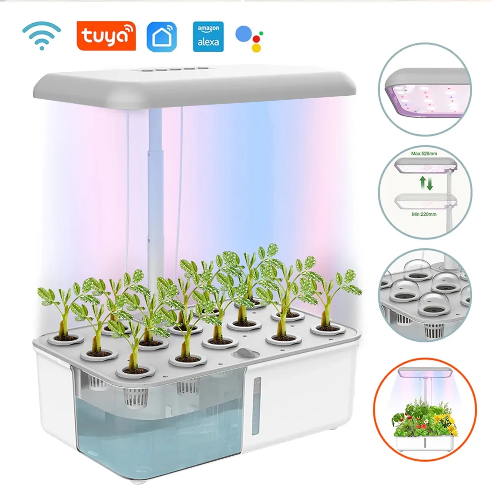 Système Tuya avec éclairage LED et plantes en croissance