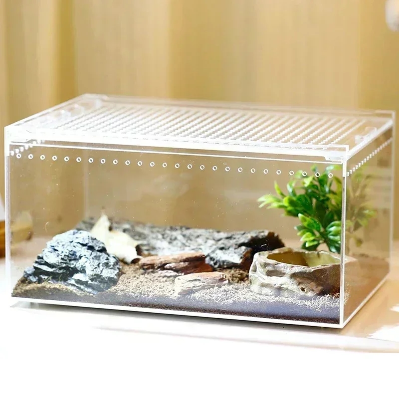Gros plan sur les joints et les raccords des éléments du terrarium, démontrant la solidité de la construction