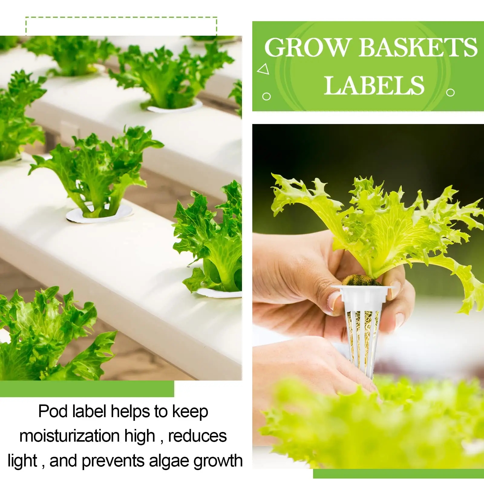 Tags for convenient plant identification