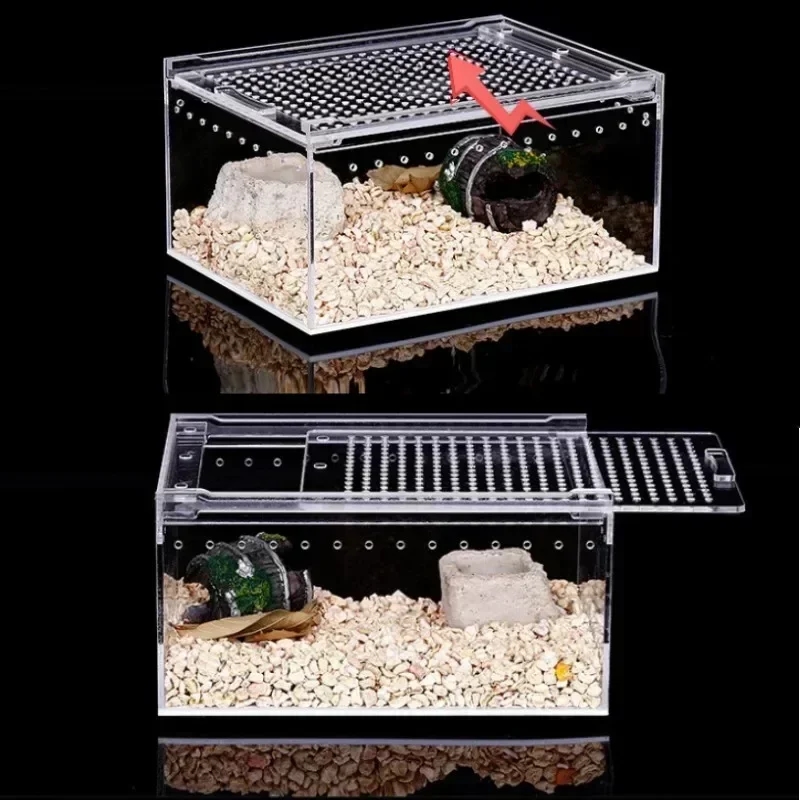 Photo du terrarium avec des objets placés à l'intérieur pour l'habitat des reptiles ou des amphibiens