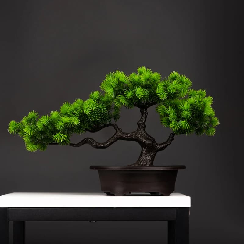 Modelo realista de árvore de abeto artificial em estilo bonsai, colocada em uma prateleira de madeira