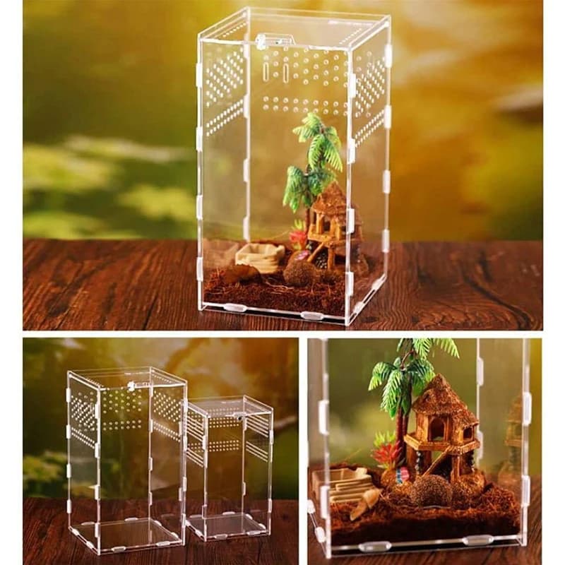 Geschlossenes, luftdichtes transparentes Terrarium für die Zucht von Reptilien und Insekten