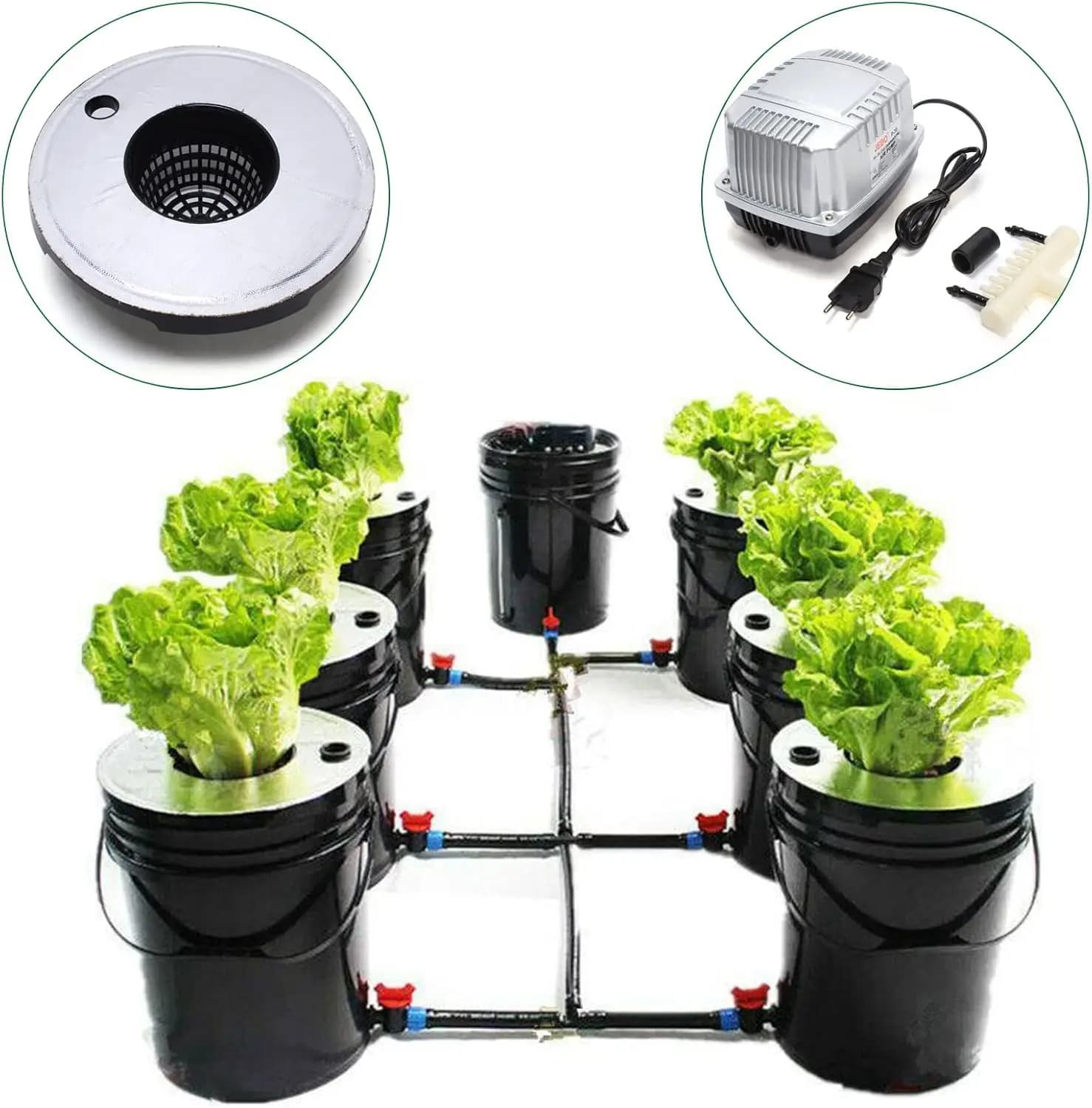 Image of DWC hydroponic system in operation with plants